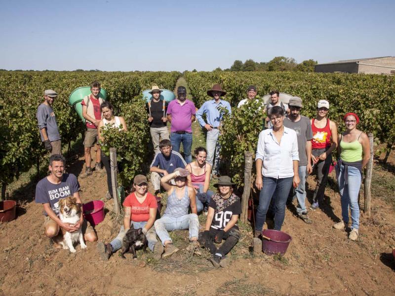Equipe Vendanges