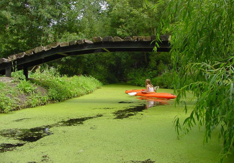 A03.07.23.08.Le Vanneau Canoë Véro Agat Marie.jpg_1