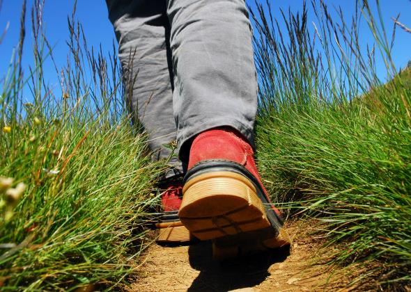 Fotolia_4010695_Subscription_L.jpg_1