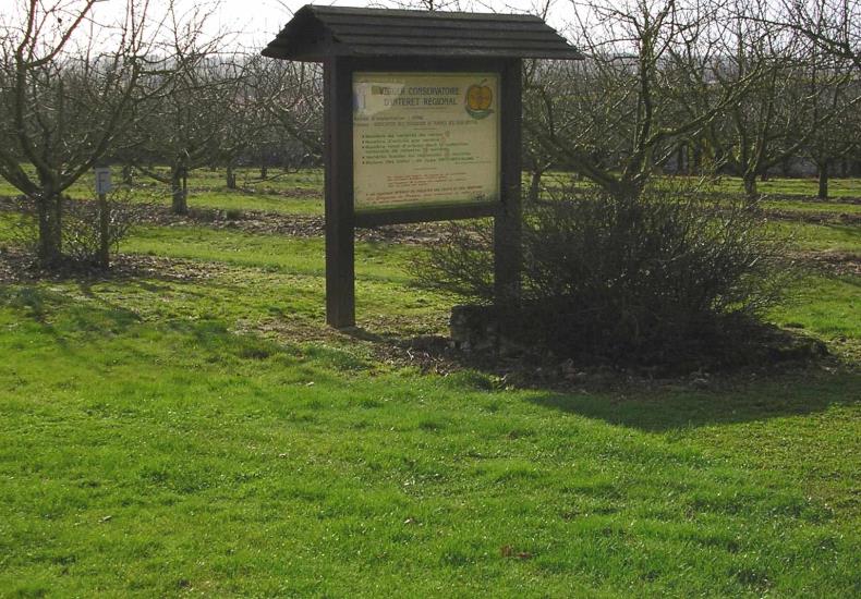 verger conservatoire 1.jpg_2