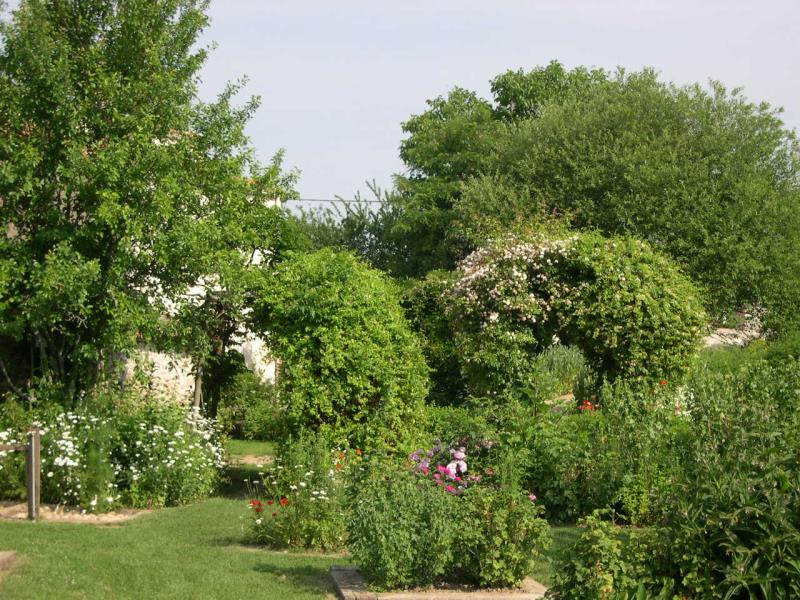 Jardin des Sens pergolas.JPG_10