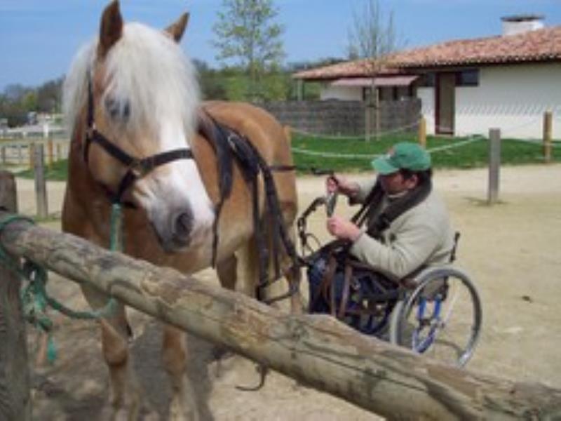 La Maison du Cheval est accessible aux personnes à mobilité réduite