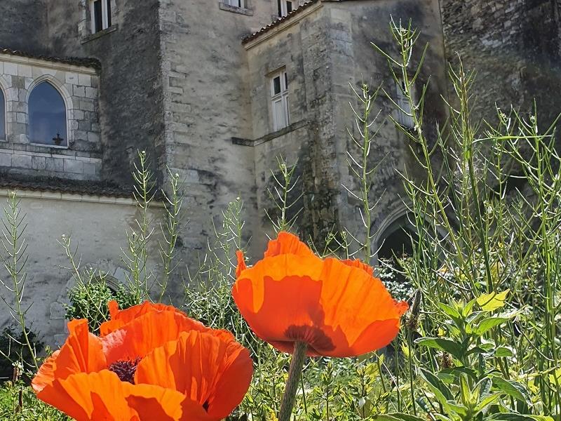 La Commanderie des Antonins vue du jardin médicinal