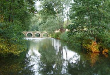 Le pont médiéval des Bords de Sèvre