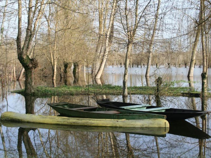 Le Marais Poitevin inondé