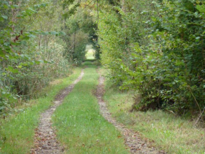 sentier_ferme_clairette_prin_deyrancon.jpg_10