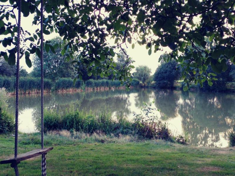nos étangs, un espace pour votre plaisir (que ce soit la pêche, à lire, pique-ni