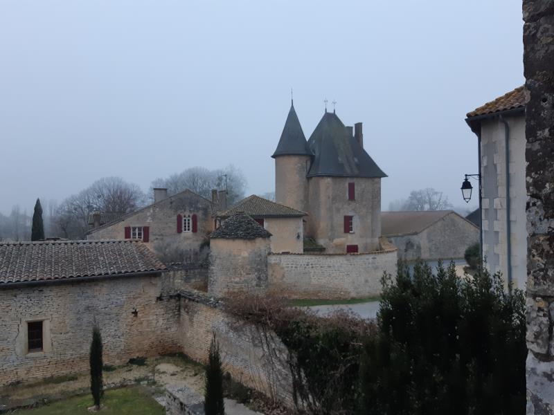 Château de la Rigaudière, vue du Musée Rauranum