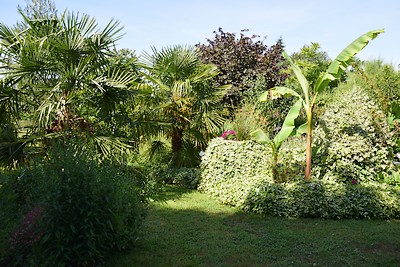 Grange de Vauviault-jardin.jpg_4