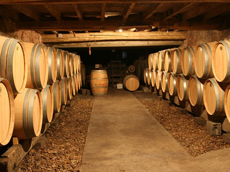 Clos des Motèles Sainte Verge vins vignes vignoble viticulteur vigneron AOC Anjou Thouars Thouarsais Deux-Sèvres 79 compresse2.jpg_2