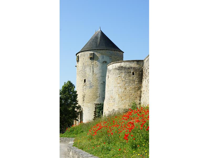 Tour du prince de galles patrimoine Thouars Thouarsais compresse3.jpg_3