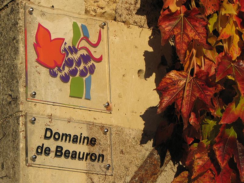 Domaine de Beauron Bouillé Loretz vins vignes vigneron viticulteur vignoble AOC Anjou Thouars Thouarsais Deux Sèvres 79 compress (3).JPG_1