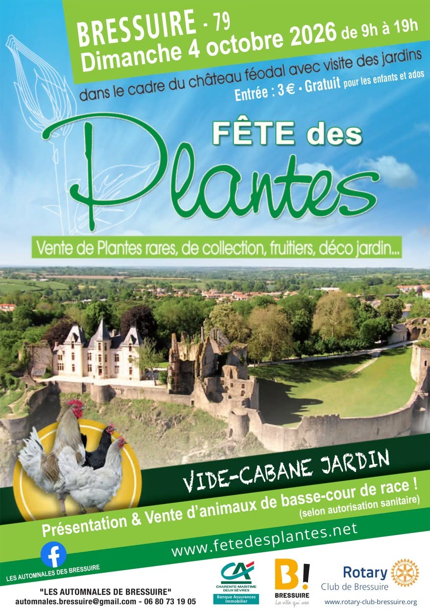 Fêtes et Animations