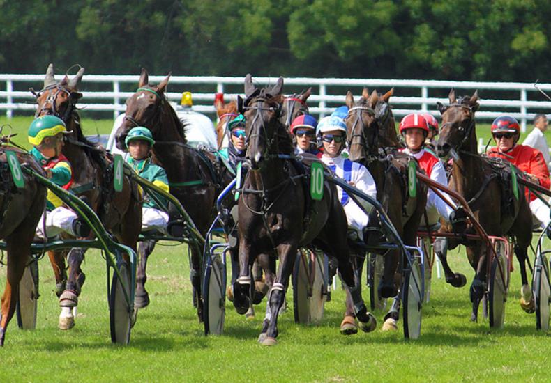 courses hippiques Sainte Verge Thouarsais Deux Sèvres Nouvelle Aquitaine