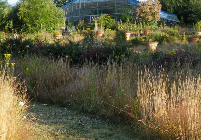 Val de Flore 5.JPG_4