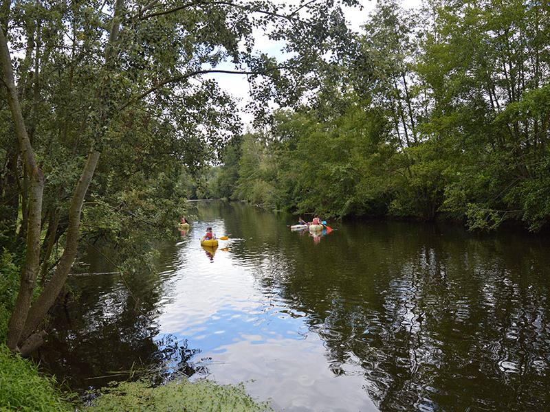 Thouars canoe kayak thouarsais loisirs thouet compresse2.jpg_6