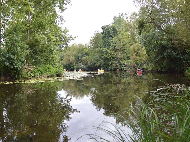 Thouars canoe kayak thouarsais loisirs thouet compresse5.jpg_5