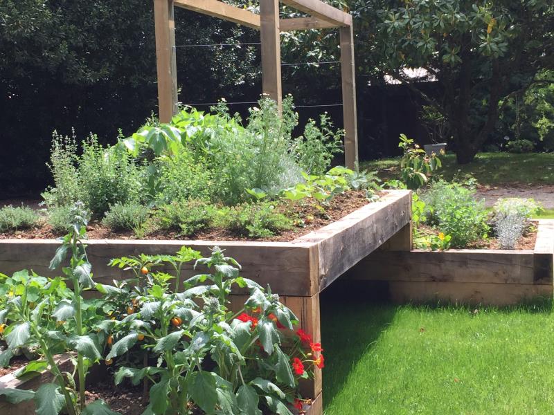 Le jardin des herbes aromatiques