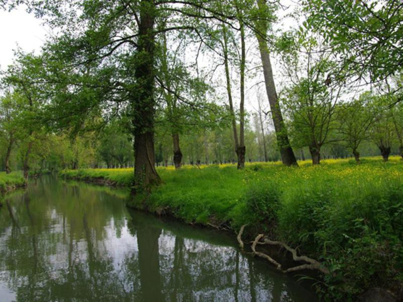 Le marais mouillé