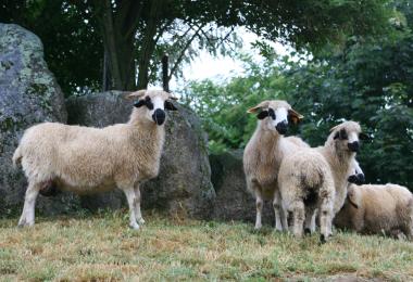 3. Thônes et marthod