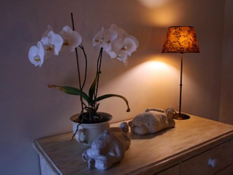st aubin de baubigné-les roches moussets-chambre-orchidee.jpeg_14