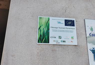 333418036_147780651540278_6705354793636473862_n