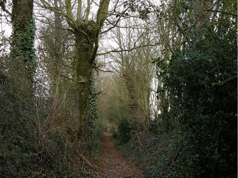 cirieres-sources-de-largent-rando-pedestre.jpg_1