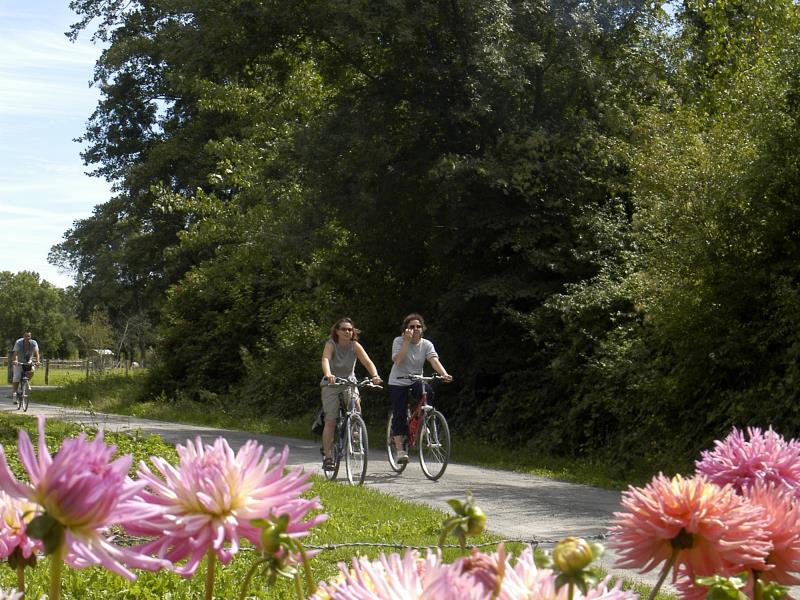 A bicyclette sur les chemins champêtres