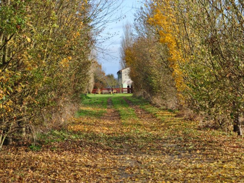 L'allée privée au gîte