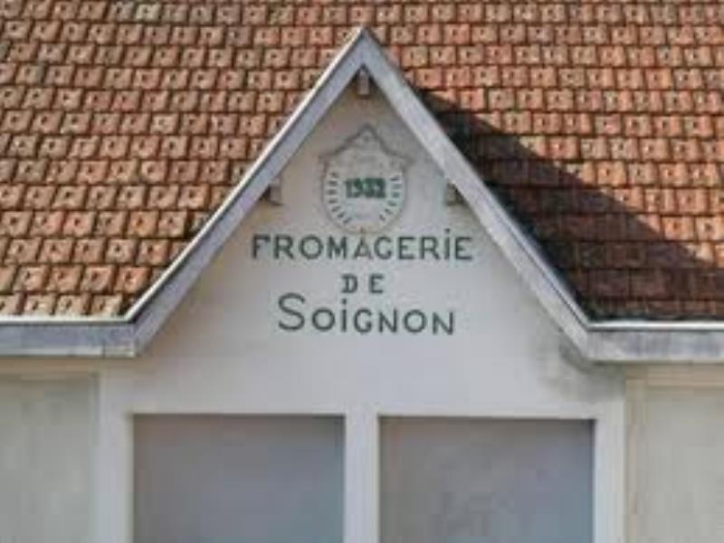 images.jpg_1
