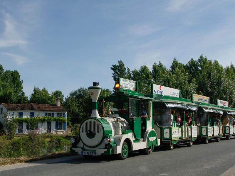 Le Petit Train du Marais de DLMS Tourisme à Coulon