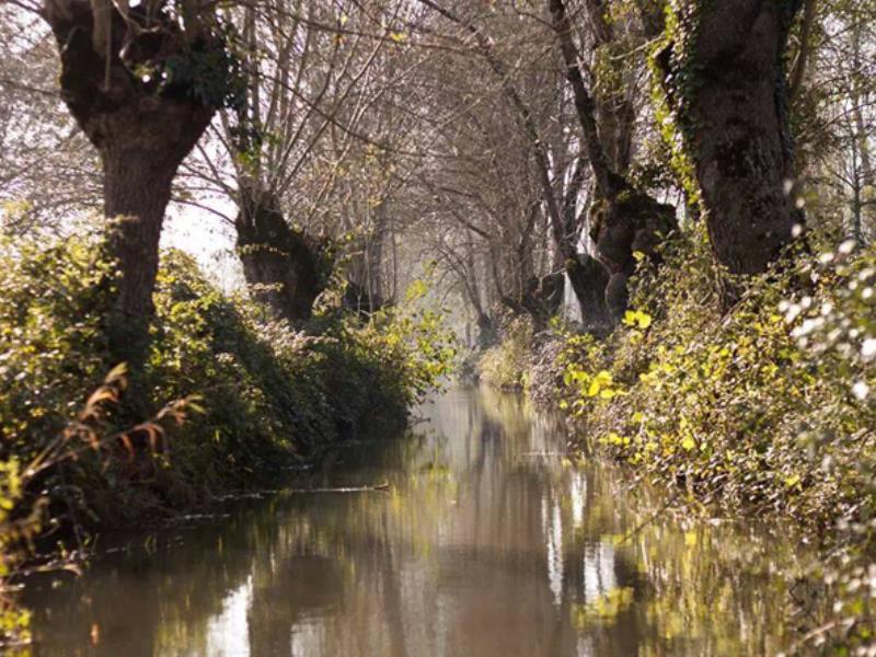 La Venise Verte