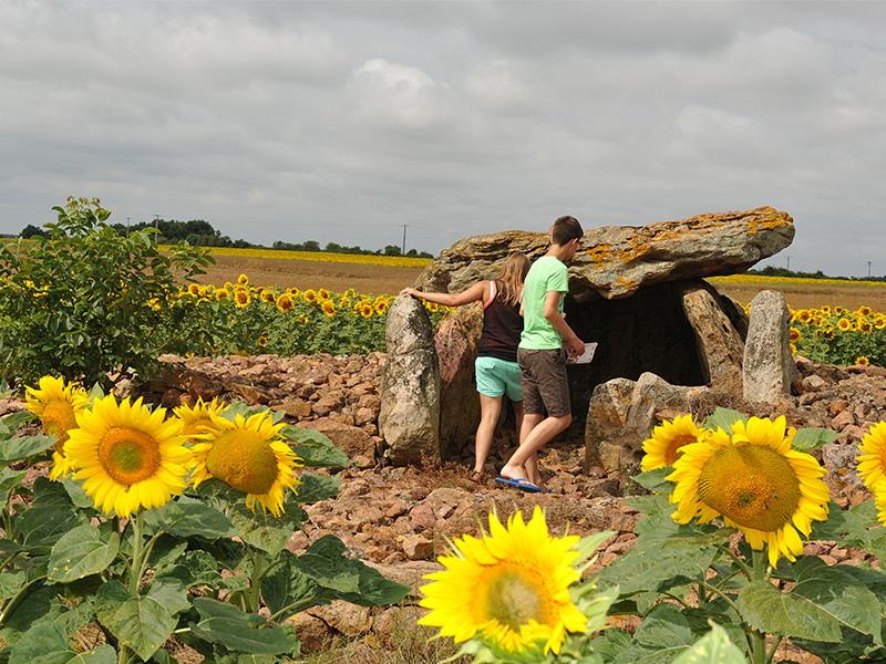 Mégalithes Montpalais Taizé patrimoine dolmen Thouars Thouarsais Nouvelle Aquitaine.JPG_1