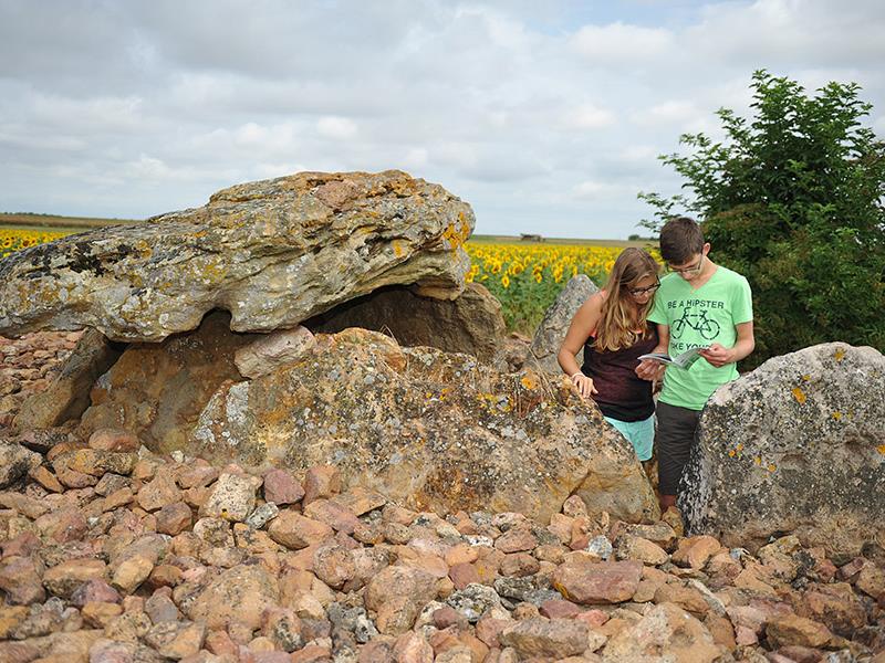 Mégalithes Montpalais Taizé patrimoine dolmen Thouars Thouarsais Nouvelle Aquitaine.JPG_2
