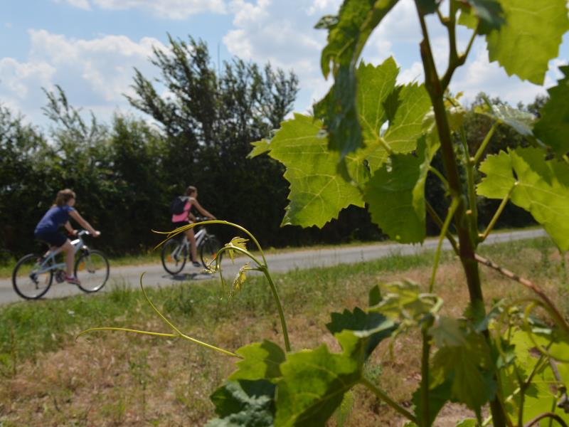 Vélo détente loisirs thouet thouarsais Deux Sèvres Nouvelle Aquitaine (43).JPG_1