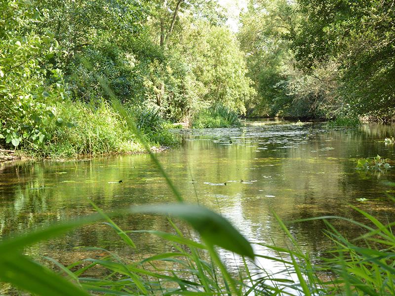 Thouars canoe kayak loisirs thouet thouarsais Nouvelle Aquitaine compresse1.JPG_2