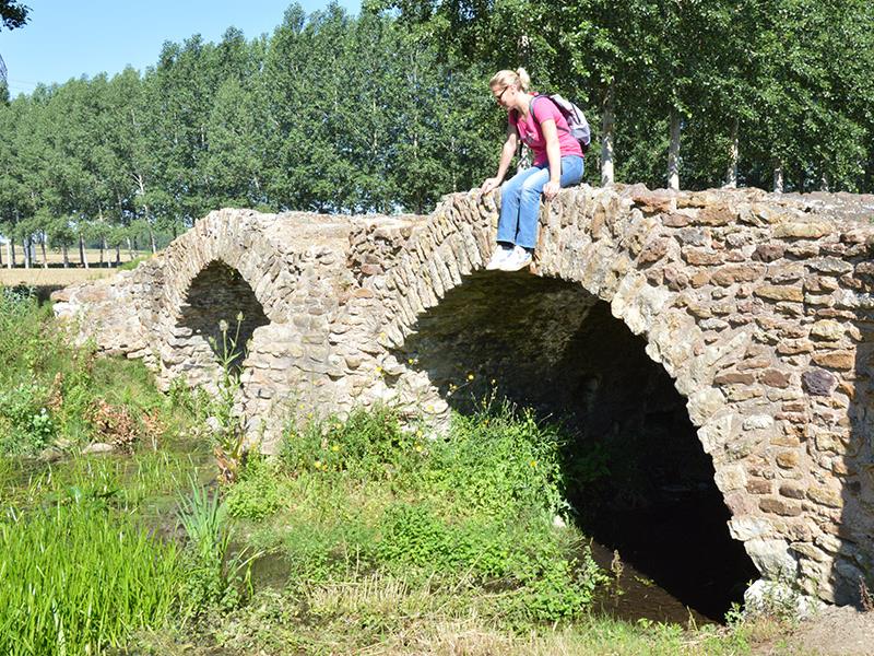 Pont de la reine blanche patrimoine Saint Martin de Macon Thouarsais Nouvelle Aquitaine.JPG_1