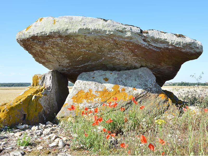 dolmen de puyraveau mégalithe patrimoine St léger de montbrun Thouars Thouarsais Nouvelle Aquitaine compresse3.JPG_3