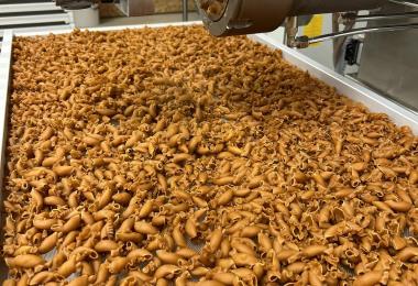 Grainelis Pates farine legumineuse degustation Taize Plaine vallees Thouarsais