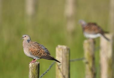 450613483_991758542959863_1242035588095612225_n