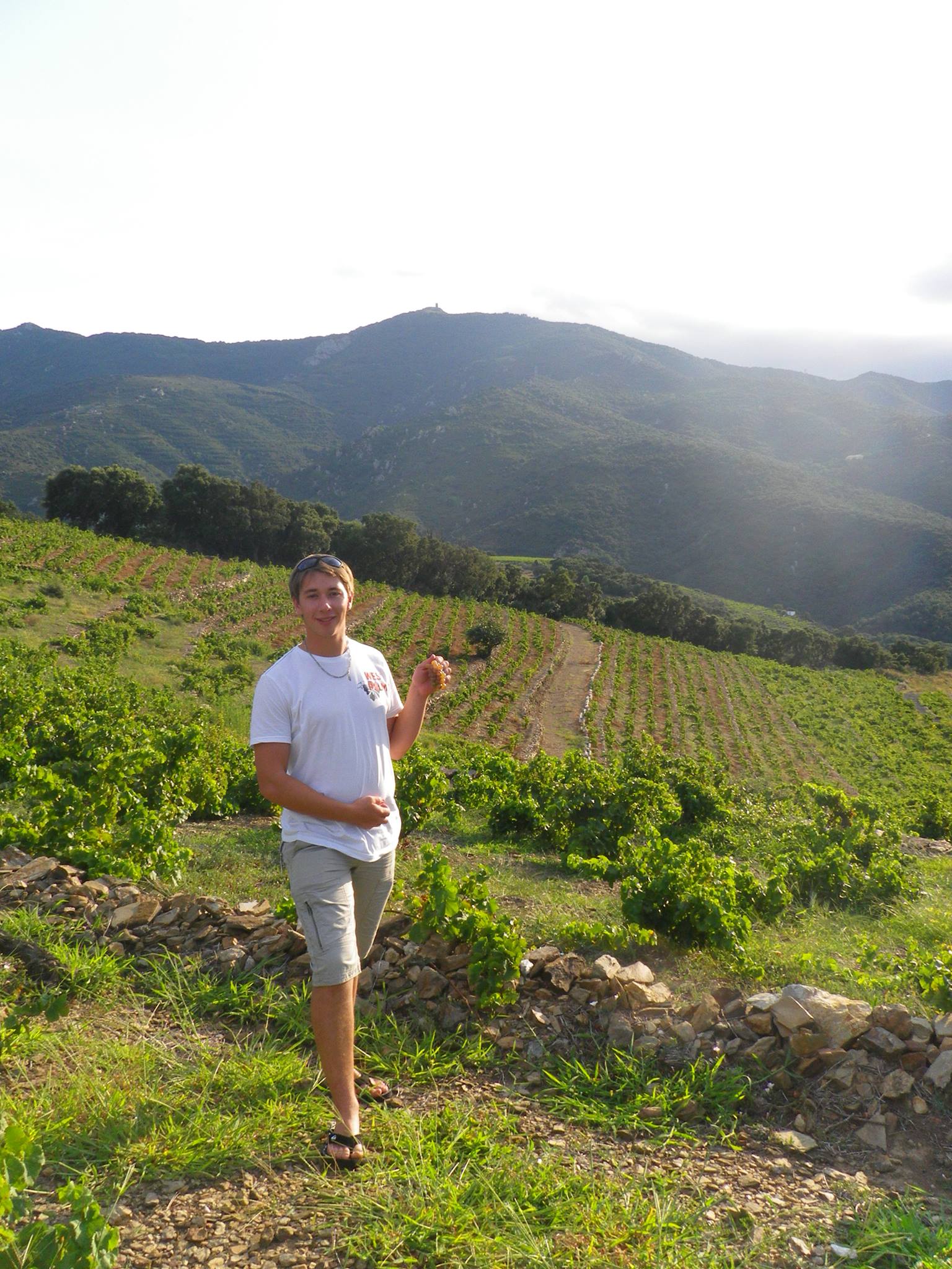 Domaine trois pierres viticulteur vins degustation val en vignes Thouarsais