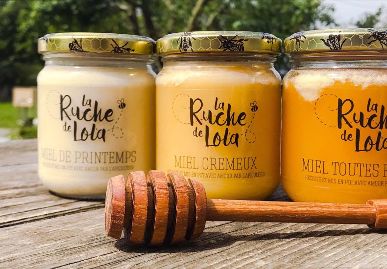 Ruche Lola Miel degustation Massais Val en vignes Thouarsais Deux Sevres