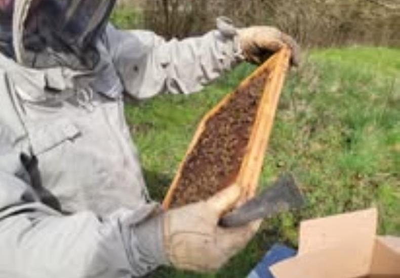 Miel forge abeilles boucoeur degustation St Varent Thouarsais