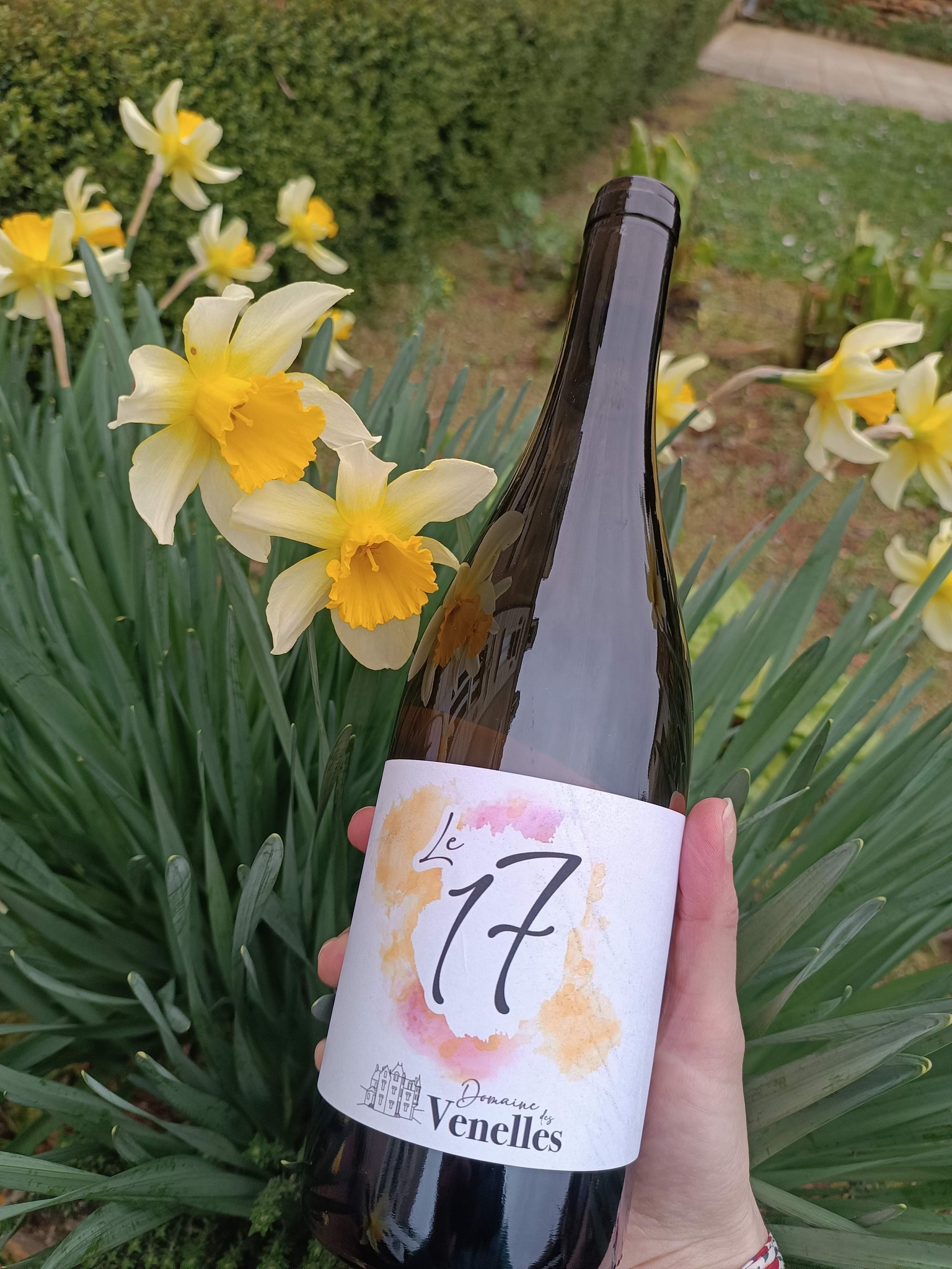 Domaine vennelles viticulteur vins degustation Oiron plaine vallees Thouarsais