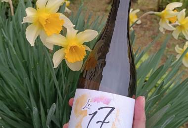 Domaine vennelles viticulteur vins degustation Oiron plaine vallees Thouarsais