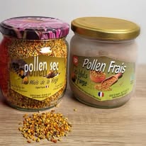 Miel forge abeilles boucoeur degustation St Varent Thouarsais