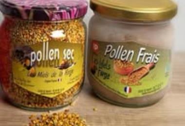 Miel forge abeilles boucoeur degustation St Varent Thouarsais