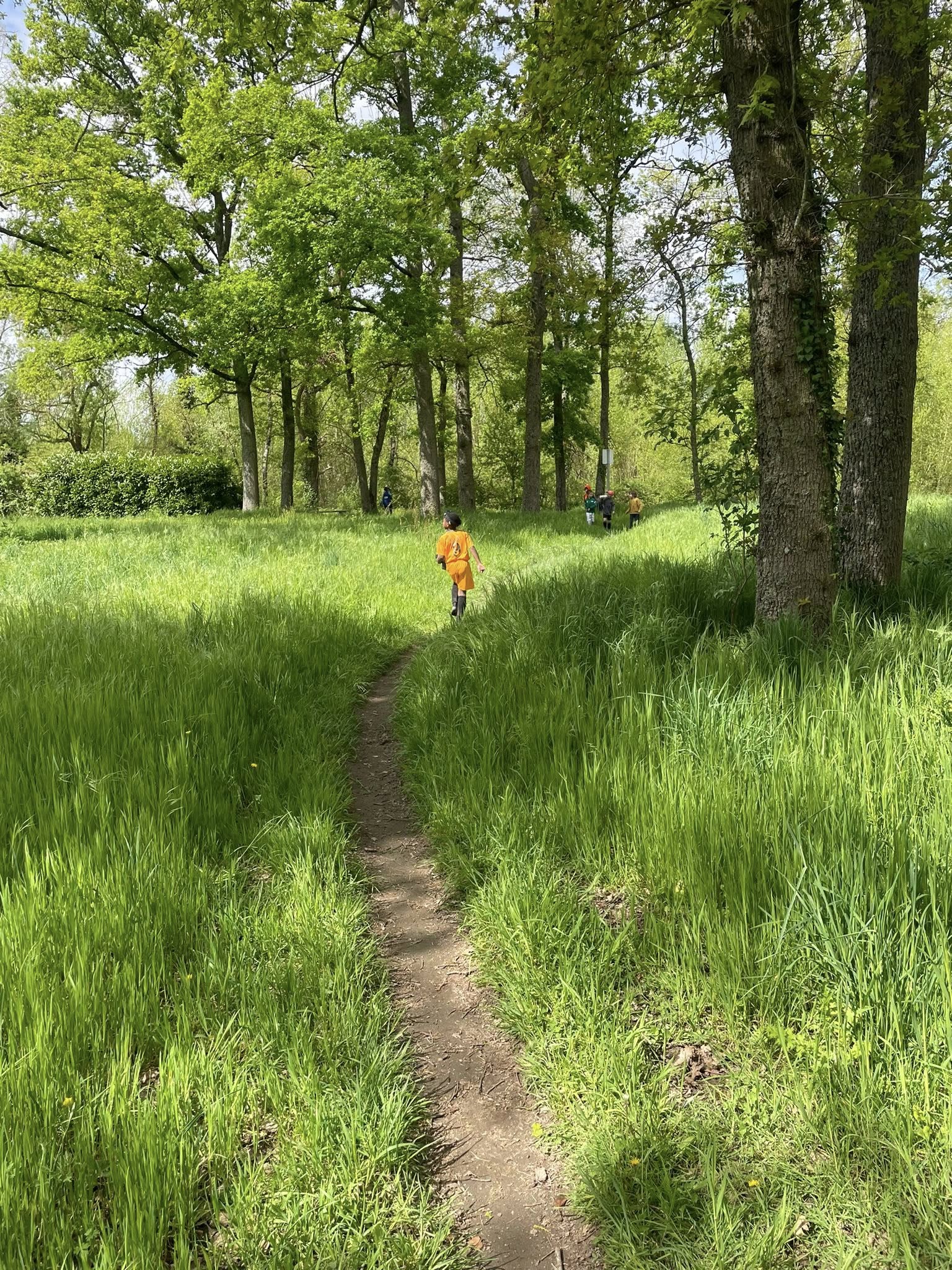 491217957_1044506527728138_6483750015718226395_n