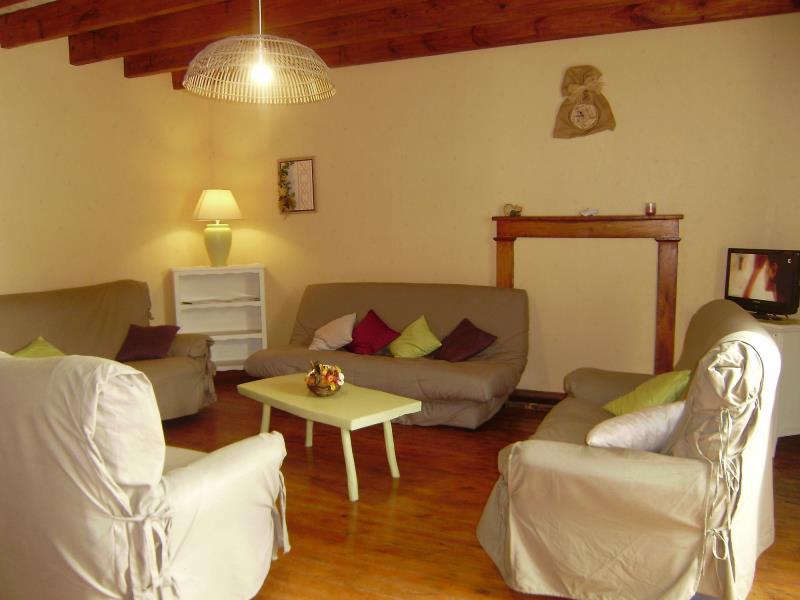 clesse-gite-puy-fleury-salon.jpg_3