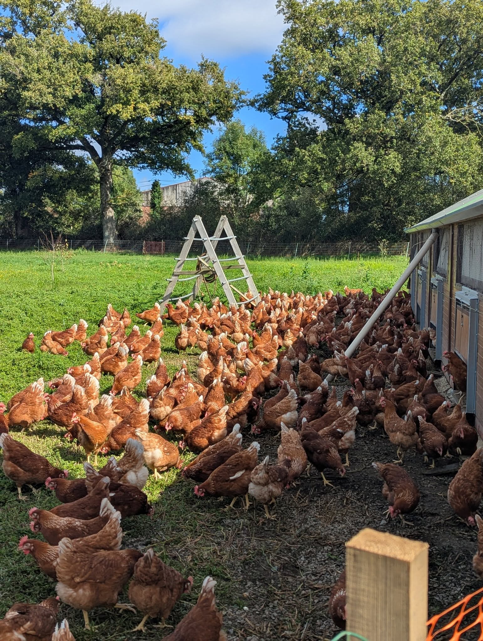 GAEC L'Orée du Village